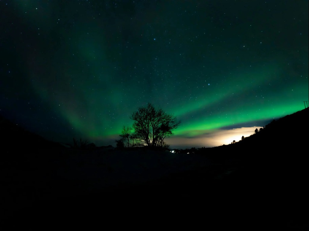 Holland America sets a course to showcase the Northern Lights