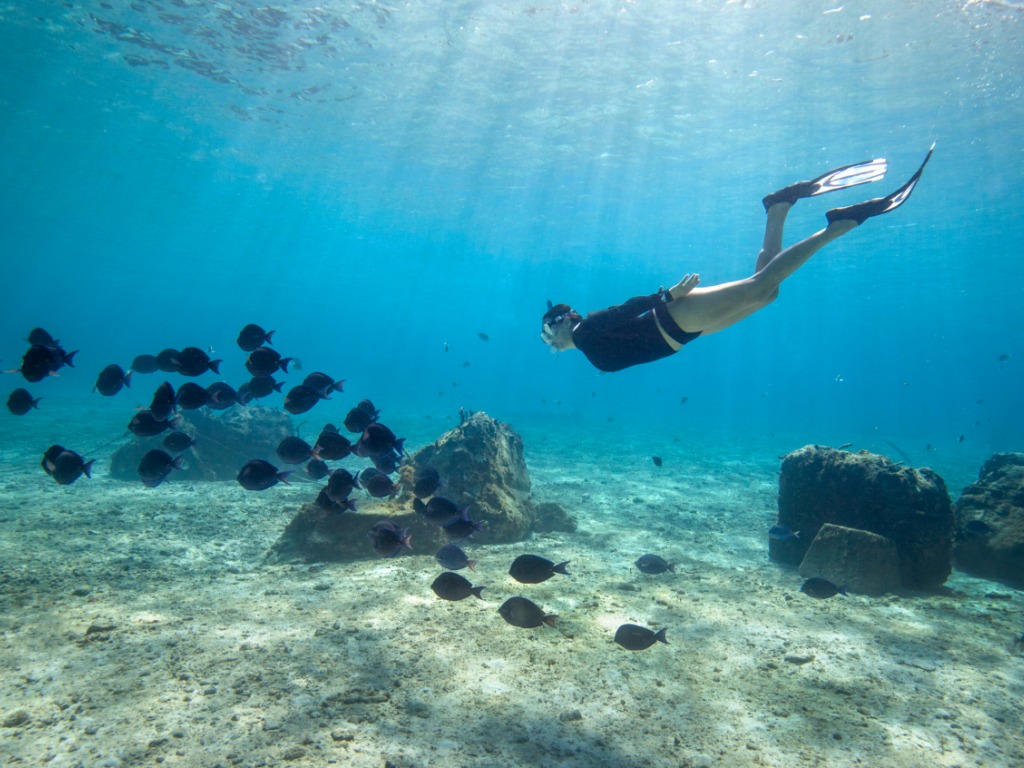 Sunwing Vacations taking off to the sun this summer