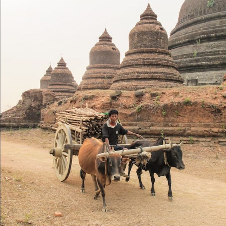 Burma | Cart