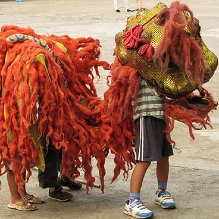 Chase | China - B365 Children wearing the dragon puppet scare elders