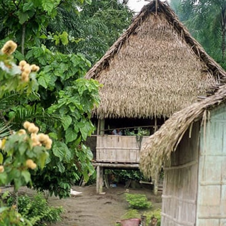 Chase | Ecuador - 328-34 Home in the Amazon