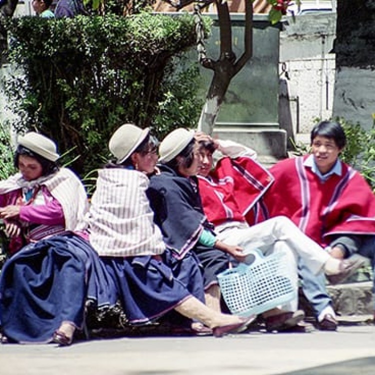 Chase | Ecuador - 376-34 Relaxing at the bus stop