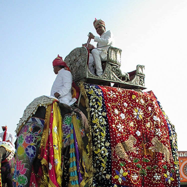 Chase | India - E P440 Mahouts, or elephant handlers