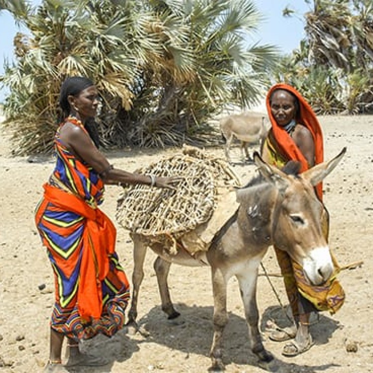 Chase | Kenya -B 003 Filling water