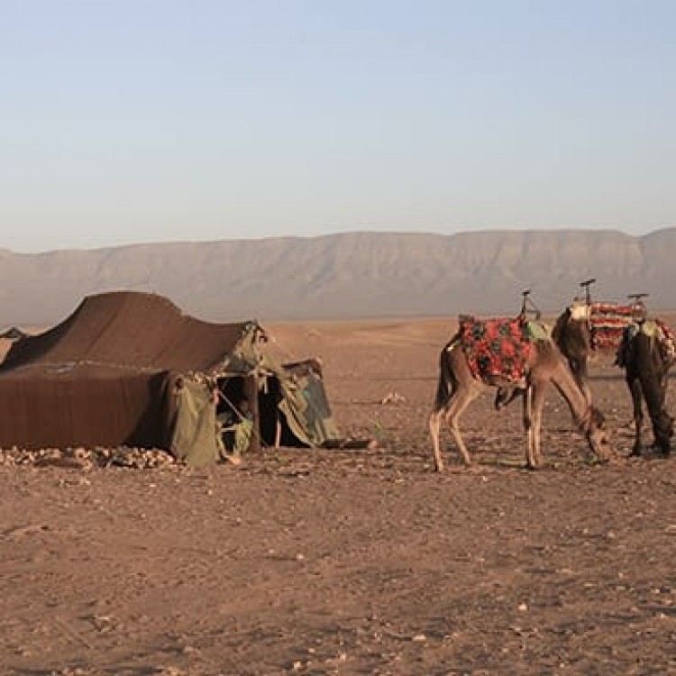 Chase | Morocco - U220 Camel Treks