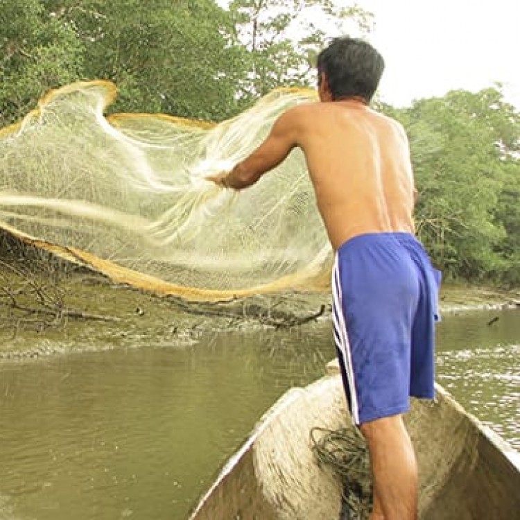 Chase | Panama - 4403 Fish provide much needed protein