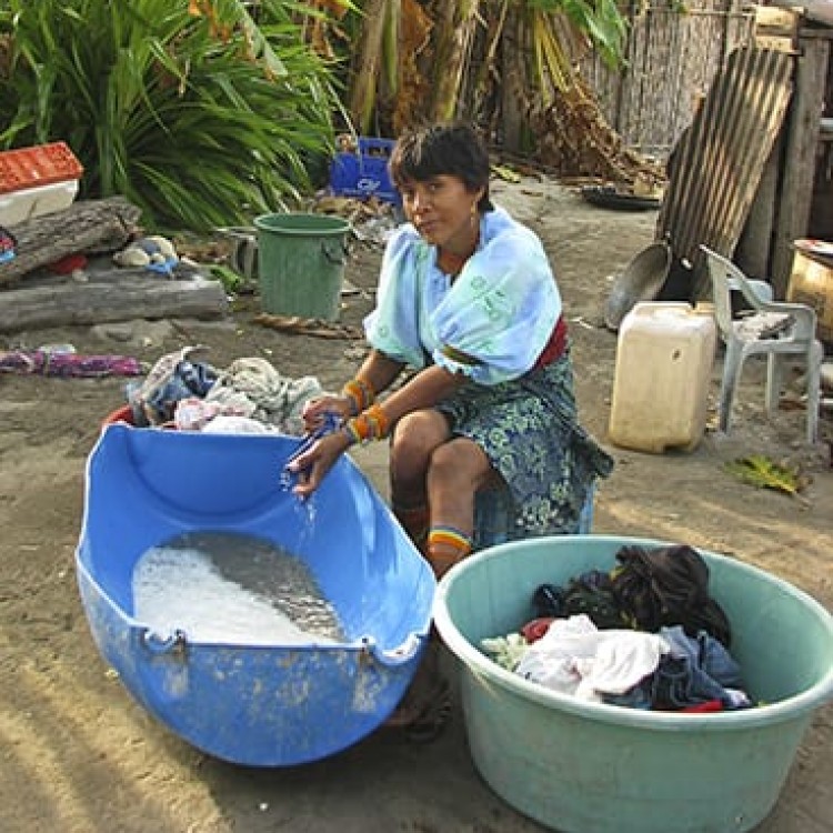 Chase | Panama - 4865 Laundry day