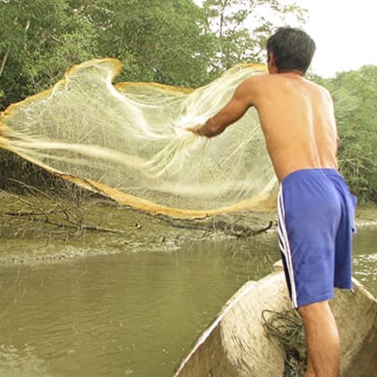 Chase | Panama - 4403 Fish provide much needed protein