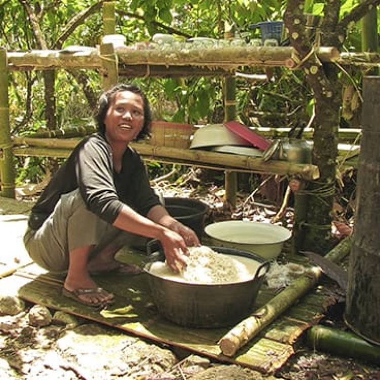 Preparing rice