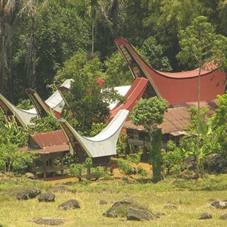 Chase | Sulawesi - 2965 Tana Toroja homes