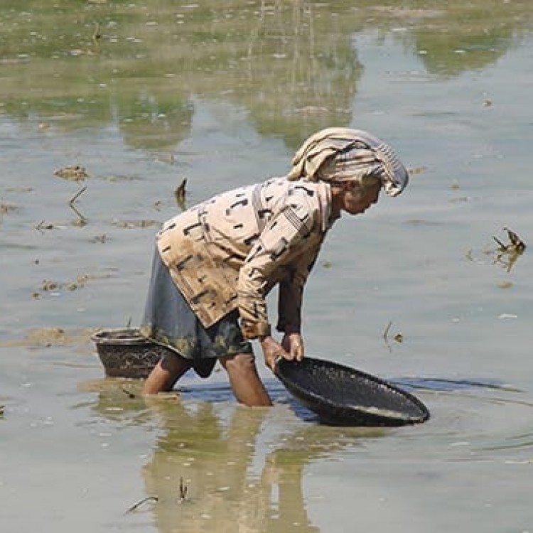 Chase | Sulawesi - 2998 Straining water for fish