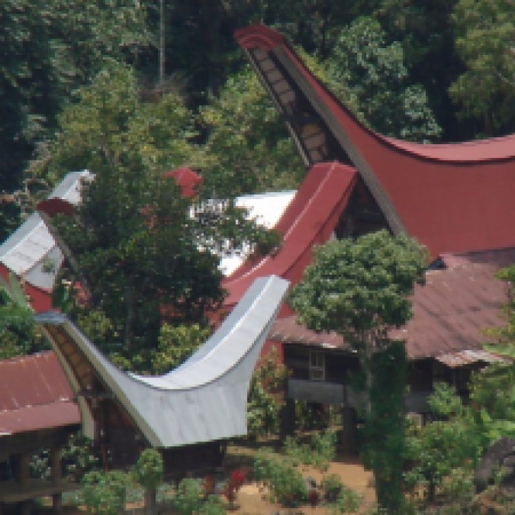 Boat Shaped Homes