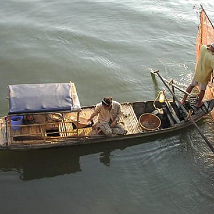 Chase | Vietnam - C161-68 Early morning fishing