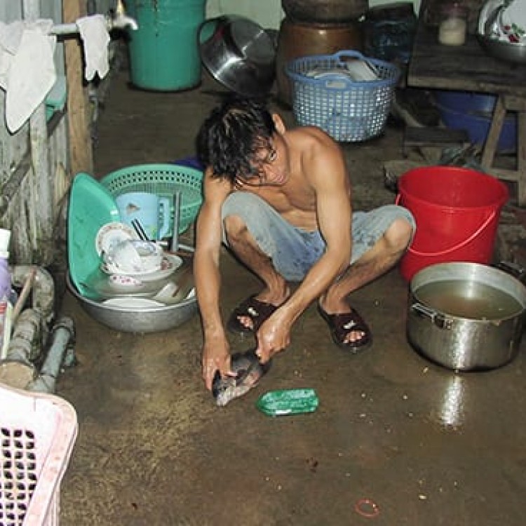 Chase | Vietnam - O547-215 Cleaning fish