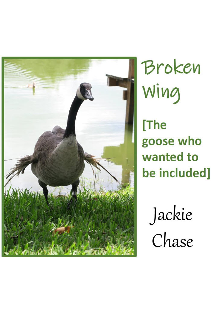 Broken Wing