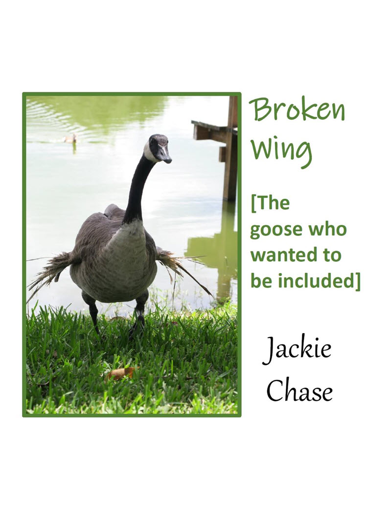 Broken Wing